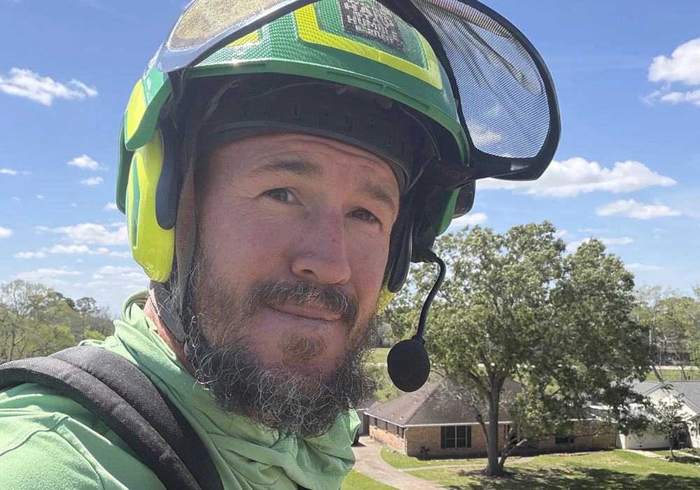 TreeGeeks Southern - Tree Care